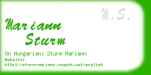 mariann sturm business card